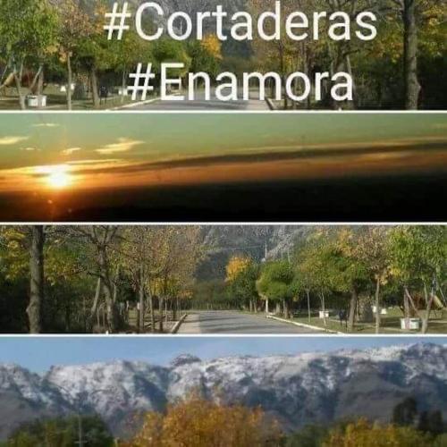 Imagen 5