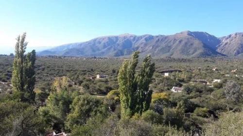 Imagen 6