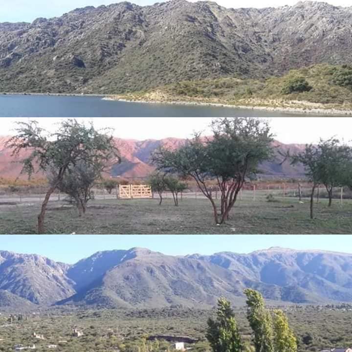 Imagen 4