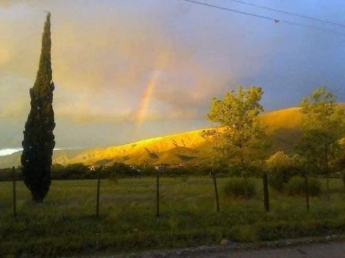Imagen 5